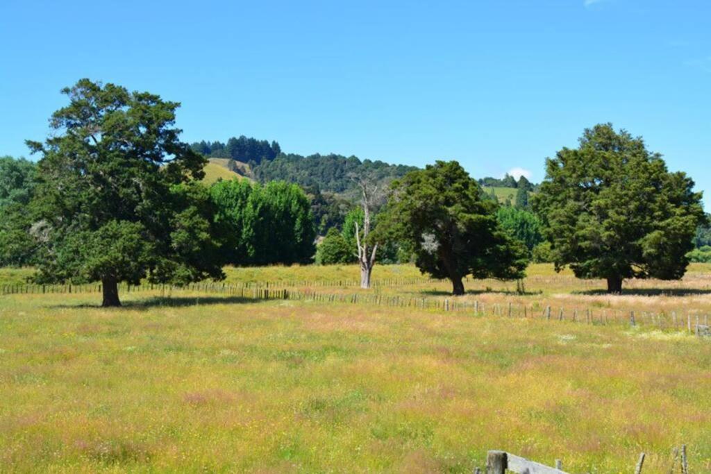 Riverlea Cottage - Cosy, Comfy, Quiet, Central Taumarunui Eksteriør billede