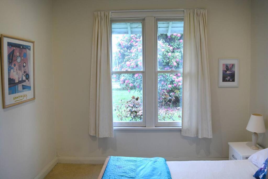 Riverlea Cottage - Cosy, Comfy, Quiet, Central Taumarunui Eksteriør billede