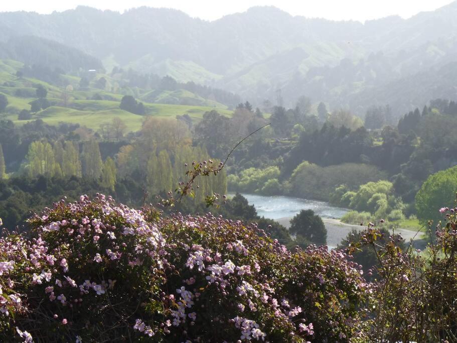 Riverlea Cottage - Cosy, Comfy, Quiet, Central Taumarunui Eksteriør billede