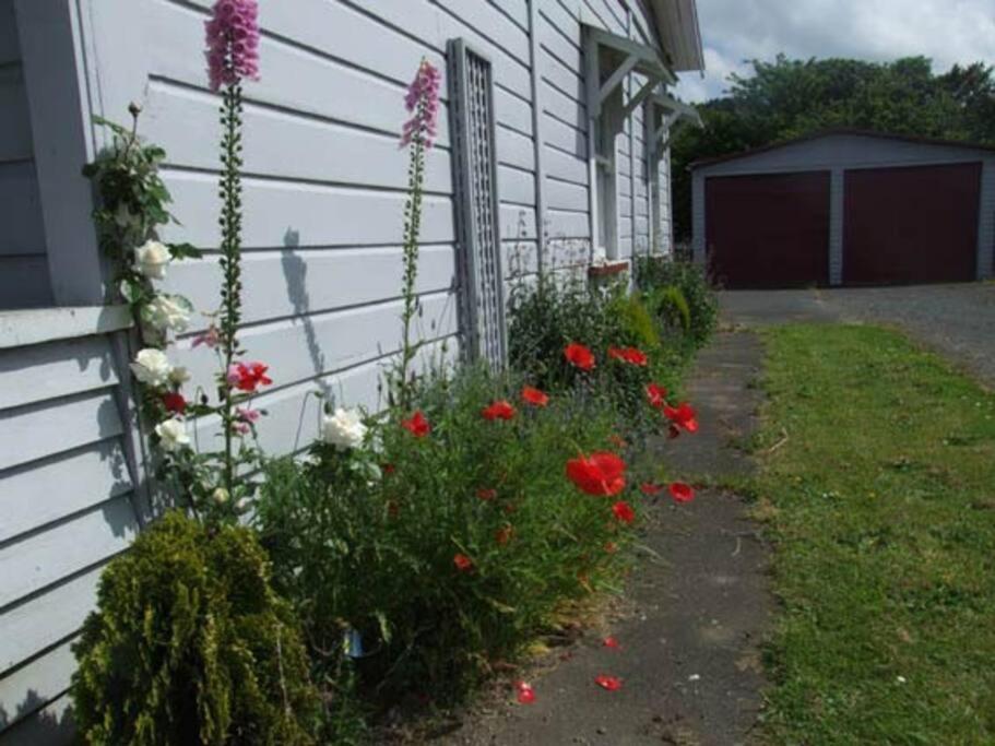 Riverlea Cottage - Cosy, Comfy, Quiet, Central Taumarunui Eksteriør billede
